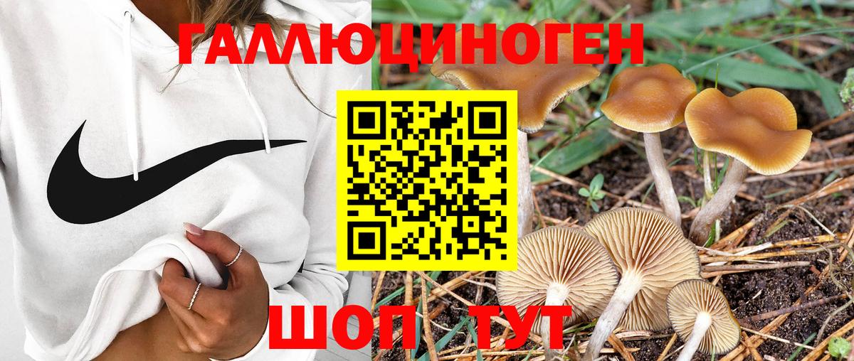 Лесной  продажа наркотиков  Вход с VPN  Галлюциногенные грибы Magic Shrooms 